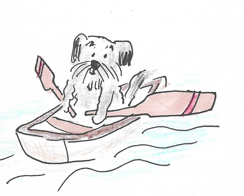 Ben rowing a boat